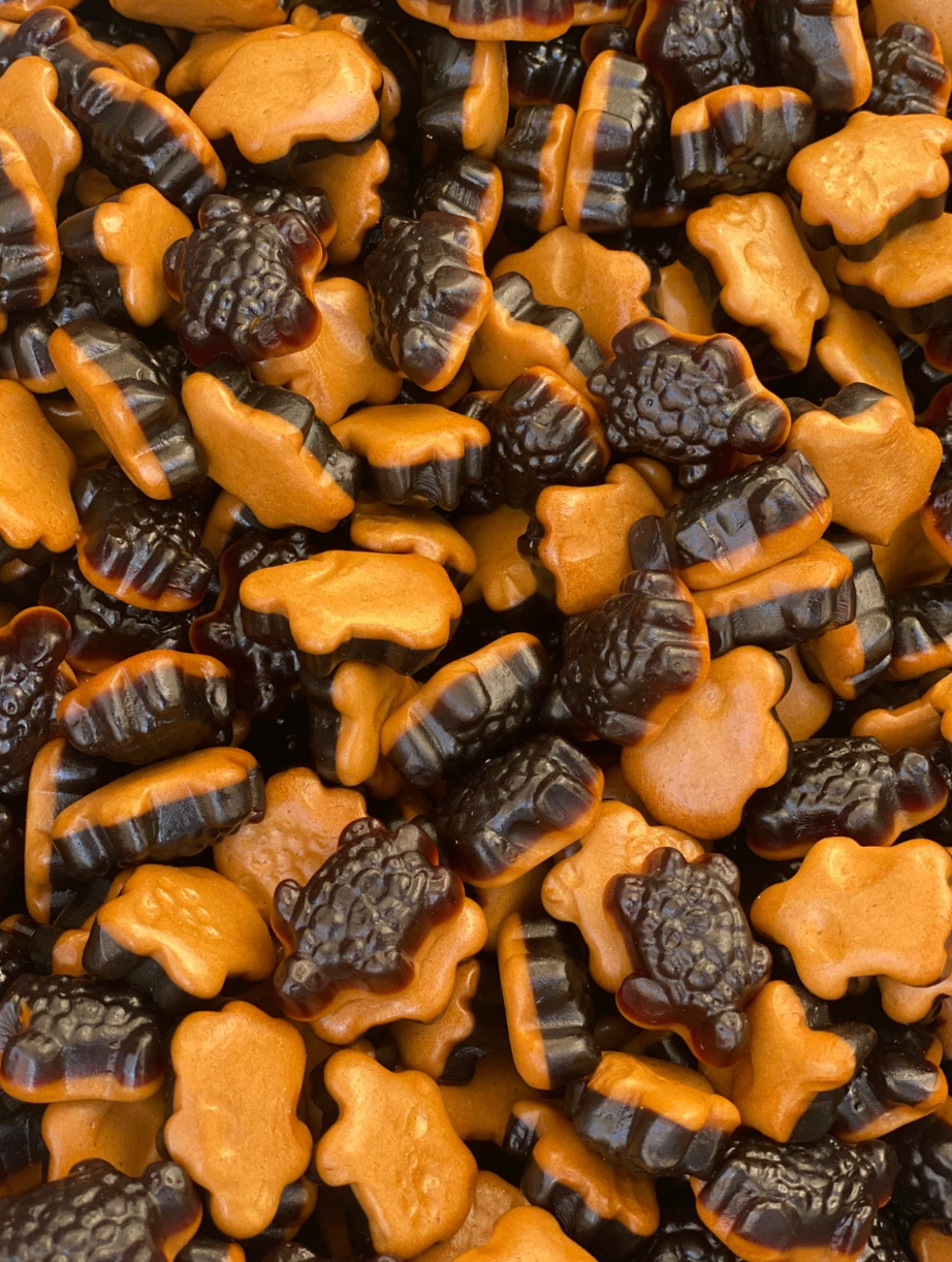 Tartarughe Salate